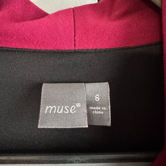 Muse Maroon Dress, size 6 - Picture 3 of 6